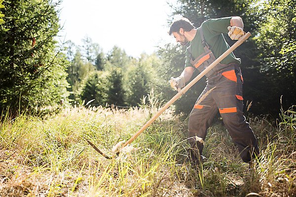 포토 JPG 주간 전신 서양인 외국인 나무 손 응시 남자 한명 서기 사람 성인 야외 옆모습 30대 풀 숲 체코 낫 벌목 벌목작업 임업 성인남자한명만 국내포토 자연요소 식물 1 시선 유럽 산업 뷰포인트 모션 인종 신체부위 장년 남자한명만 성인남자만 파일형식