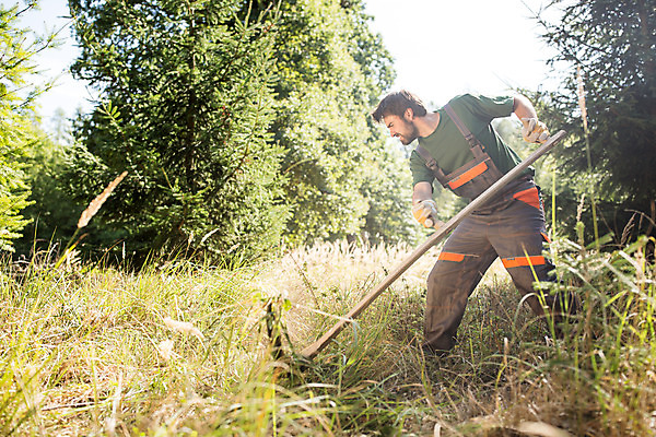 포토 JPG 주간 전신 서양인 외국인 나무 손 응시 남자 한명 서기 사람 성인 야외 옆모습 30대 풀 숲 체코 낫 벌목 벌목작업 임업 성인남자한명만 국내포토 자연요소 식물 1 시선 유럽 산업 뷰포인트 모션 인종 신체부위 장년 남자한명만 성인남자만 파일형식