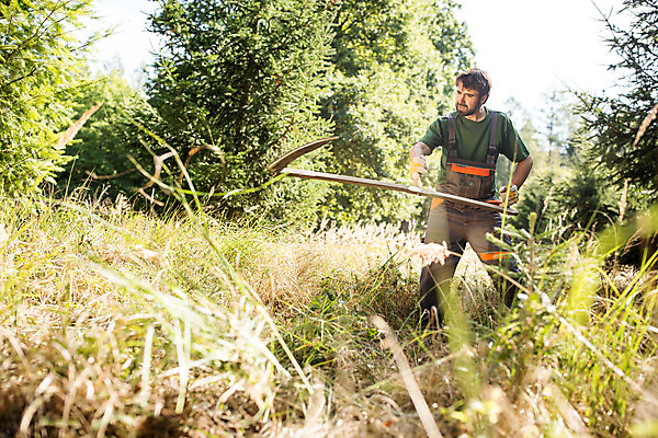 포토 JPG 주간 전신 서양인 외국인 나무 손 응시 남자 한명 서기 사람 성인 야외 옆모습 30대 풀 숲 체코 낫 벌목 벌목작업 임업 성인남자한명만 국내포토 자연요소 식물 1 시선 유럽 산업 뷰포인트 모션 인종 신체부위 장년 남자한명만 성인남자만 파일형식