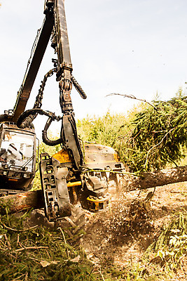 포토 JPG 주간 서양인 외국인 나무 남자 한명 사람 앉기 상반신 성인 야외 옆모습 30대 숲 포크레인 체코 벌목 벌목작업 임업 작동 성인남자한명만 국내포토 자연요소 식물 1 유럽 산업 뷰포인트 모션 인종 장년 중장비 남자한명만 성인남자만 파일형식
