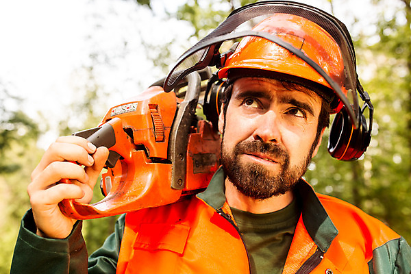포토 JPG 주간 서양인 외국인 나무 응시 남자 한명 서기 들기 사람 상반신 성인 야외 앞모습 30대 잡기 숲 안전모 보호장비 준비 체코 톱 벌목 벌목작업 임업 전기톱 성인남자한명만 국내포토 자연요소 식물 1 시선 유럽 산업 뷰포인트 모션 인종 장년 장비 공구 헬멧 안전장비 남자한명만 성인남자만 파일형식
