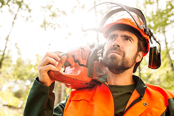 포토 JPG 주간 서양인 외국인 나무 응시 남자 한명 서기 들기 사람 상반신 성인 야외 앞모습 30대 잡기 숲 안전모 체코 톱 벌목 벌목작업 보호장치 임업 전기톱 성인남자한명만 국내포토 자연요소 식물 1 시선 유럽 산업 뷰포인트 모션 인종 장년 장비 공구 헬멧 안전장비 남자한명만 성인남자만 파일형식