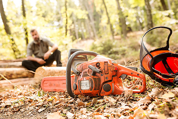 포토 JPG 주간 전신 서양인 나무 응시 남자 40대 중년 한명 사람 앉기 성인 야외 앞모습 숲 안전모 체코 톱 땅바닥 벌목 벌목작업 보호장치 임업 전기톱 중년남자한명만 국내포토 자연요소 외국인 식물 1 시선 유럽 산업 뷰포인트 모션 바닥 장비 공구 헬멧 안전장비 남자한명만 중년남자만 파일형식