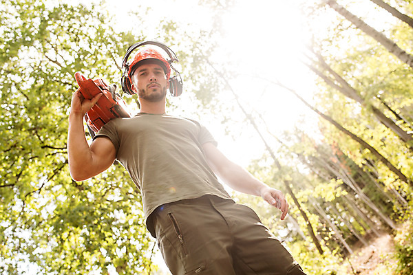포토 JPG 주간 서양인 나무 응시 남자 로우앵글 한명 서기 사람 상반신 20대 성인 야외 옆모습 잡기 숲 안전모 체코 톱 벌목 벌목작업 보호장치 임업 전기톱 성인남자한명만 국내포토 자연요소 외국인 식물 1 시선 유럽 산업 뷰포인트 모션 청년 장비 공구 헬멧 안전장비 남자한명만 성인남자만 파일형식