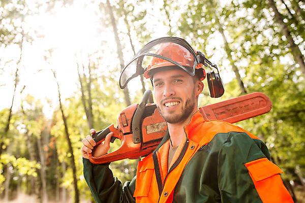 포토 JPG 주간 서양인 나무 응시 남자 한명 서기 미소 들기 사람 상반신 20대 성인 야외 옆모습 잡기 숲 안전모 체코 톱 벌목 벌목작업 보호장치 임업 전기톱 성인남자한명만 국내포토 자연요소 외국인 식물 1 시선 유럽 산업 뷰포인트 모션 표정 청년 장비 공구 헬멧 안전장비 남자한명만 성인남자만 파일형식