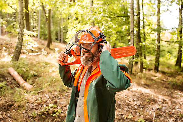 포토 JPG 주간 서양인 나무 응시 남자 40대 중년 한명 서기 미소 들기 사람 상반신 성인 야외 옆모습 잡기 숲 안전모 체코 톱 벌목 벌목작업 보호장치 임업 전기톱 중년남자한명만 국내포토 자연요소 외국인 식물 1 시선 유럽 산업 뷰포인트 모션 표정 장비 공구 헬멧 안전장비 남자한명만 중년남자만 파일형식