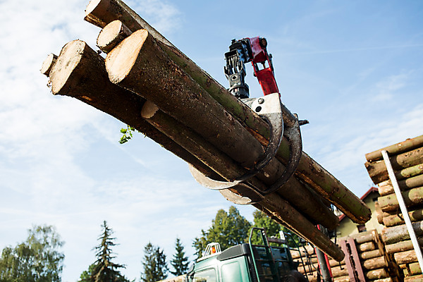 포토 JPG 주간 나무 사람없음 야외 목재 운반 숲 포크레인 체코 벌목 벌목작업 임업 국내포토 자연요소 식물 유럽 산업 재료 중장비 파일형식
