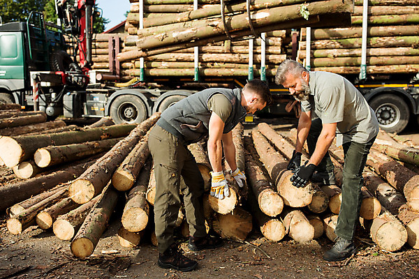 포토 JPG 주간 전신 서양인 나무 남자 40대 중년 서기 들기 사람 20대 성인 야외 두명 옆모습 운반 숲 통나무 체코 벌목 벌목작업 임업 성인남자만 국내포토 자연요소 외국인 식물 유럽 산업 뷰포인트 모션 청년 남자만 성인만 파일형식