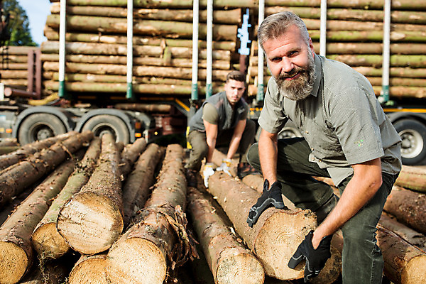 포토 JPG 주간 전신 서양인 나무 응시 남자 40대 중년 장갑 서기 미소 들기 사람 앉기 20대 성인 야외 두명 앞모습 옆모습 숲 통나무 체코 벌목 벌목작업 임업 성인남자만 국내포토 자연요소 외국인 식물 시선 잡화 유럽 산업 뷰포인트 모션 표정 청년 남자만 성인만 파일형식