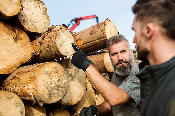 포토 JPG 주간 서양인 나무 응시 남자 40대 중년 장갑 서기 사람 상반신 20대 성인 야외 두명 옆모습 검지손가락 가리킴 숲 통나무 체코 벌목 벌목작업 임업 성인남자만 국내포토 자연요소 외국인 식물 시선 잡화 유럽 산업 뷰포인트 손가락 모션 손짓 청년 남자만 성인만 파일형식