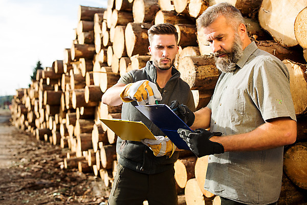 포토 JPG 주간 서양인 나무 응시 남자 40대 중년 장갑 서기 사람 상반신 20대 성인 야외 두명 옆모습 검지손가락 가리킴 숲 문서 파일 통나무 체코 벌목 벌목작업 임업 성인남자만 국내포토 자연요소 외국인 식물 시선 잡화 유럽 산업 뷰포인트 손가락 모션 손짓 청년 남자만 성인만 파일형식