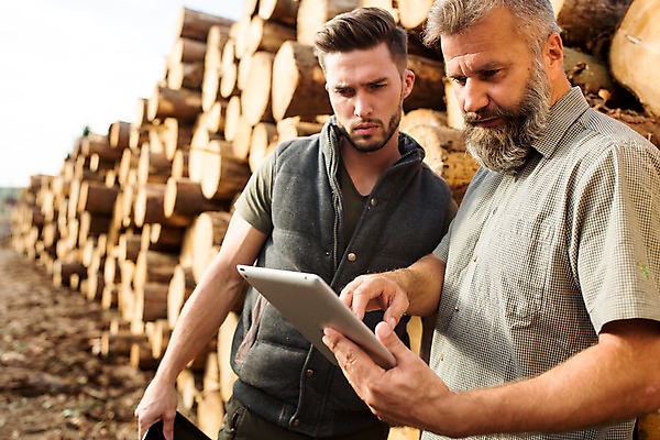 포토 JPG 주간 서양인 나무 응시 남자 40대 중년 서기 미소 들기 사람 상반신 20대 성인 야외 두명 옆모습 태블릿 검지손가락 가리킴 숲 통나무 체코 벌목 벌목작업 임업 성인남자만 국내포토 자연요소 외국인 식물 시선 유럽 산업 뷰포인트 손가락 모션 표정 손짓 청년 전자제품 스마트기기 남자만 성인만 파일형식