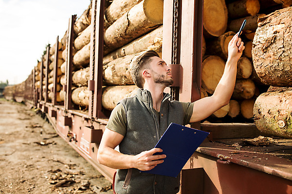 포토 JPG 주간 서양인 나무 응시 남자 한명 서기 사람 상반신 20대 성인 야외 옆모습 올려보기 가리킴 숲 문서 파일 통나무 체코 벌목 벌목작업 임업 성인남자한명만 국내포토 자연요소 외국인 식물 1 시선 유럽 산업 뷰포인트 모션 손짓 청년 남자한명만 성인남자만 파일형식