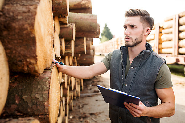 포토 JPG 주간 서양인 나무 응시 남자 한명 서기 사람 상반신 20대 성인 야외 옆모습 숲 문서 파일 통나무 체코 벌목 벌목작업 임업 성인남자한명만 국내포토 자연요소 외국인 식물 1 시선 유럽 산업 뷰포인트 모션 청년 남자한명만 성인남자만 파일형식