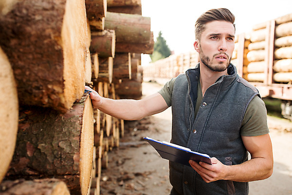 포토 JPG 주간 서양인 나무 응시 남자 한명 서기 사람 상반신 20대 성인 야외 앞모습 숲 문서 파일 통나무 체코 벌목 벌목작업 임업 성인남자한명만 국내포토 자연요소 외국인 식물 1 시선 유럽 산업 뷰포인트 모션 청년 남자한명만 성인남자만 파일형식