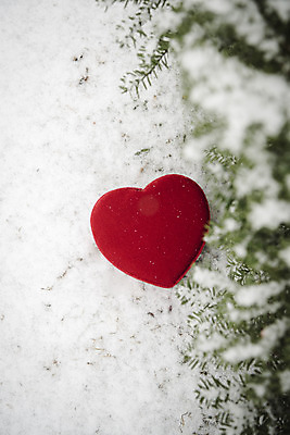 포토 JPG 주간 나무 겨울 바닥 사랑 사람없음 야외 아웃포커스 하이앵글 하트 눈 즐거움 오브젝트 겨울풍경 국내포토 자연요소 모양 식물 계절 감정 뷰포인트 날씨 촬영기법 풍경 파일형식