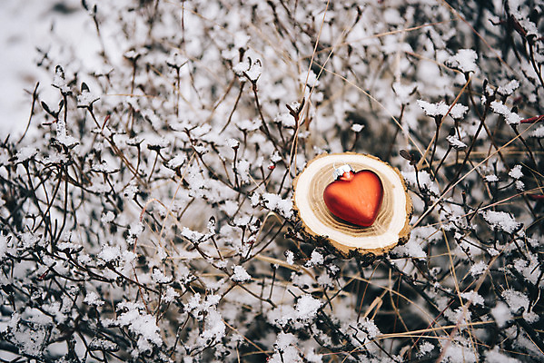 포토 JPG 주간 나무 겨울 사랑 사람없음 야외 하트 눈 즐거움 오브젝트 나무밑둥 겨울풍경 국내포토 자연요소 모양 식물 계절 감정 날씨 풍경 파일형식