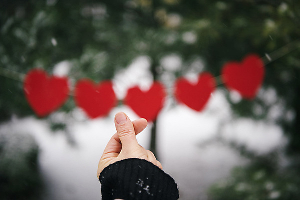 포토 JPG 주간 나무 손 겨울 사랑 야외 아웃포커스 신체부위 하트 눈 즐거움 오브젝트 손하트 가랜드 겨울풍경 국내포토 자연요소 모양 식물 계절 감정 날씨 촬영기법 사람 풍경 손짓 파티용품 파일형식