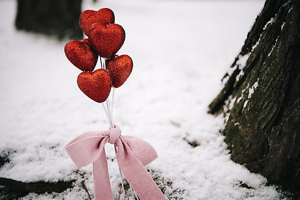 포토 JPG 주간 나무 리본 겨울 사랑 사람없음 야외 하트 눈 다발 즐거움 오브젝트 겨울풍경 국내포토 자연요소 모양 식물 계절 감정 날씨 풍경 파일형식