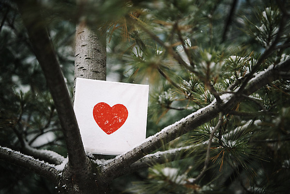 포토 JPG 주간 나무 액자 겨울 사랑 사람없음 야외 하트 눈 즐거움 오브젝트 겨울풍경 국내포토 자연요소 모양 식물 계절 감정 날씨 풍경 파일형식