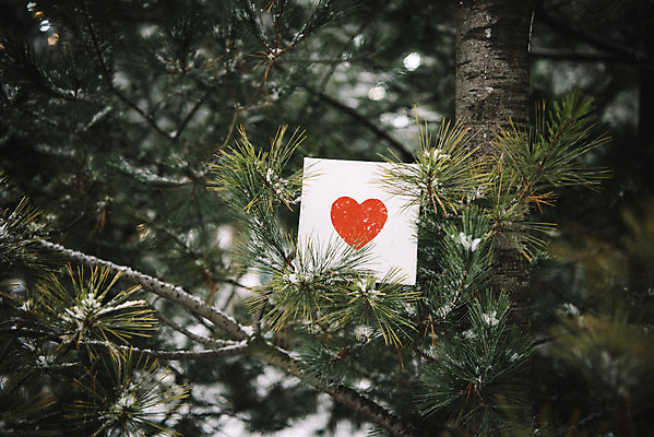 포토 JPG 주간 나무 액자 겨울 사랑 사람없음 야외 하트 눈 즐거움 오브젝트 겨울풍경 국내포토 자연요소 모양 식물 계절 감정 날씨 풍경 파일형식