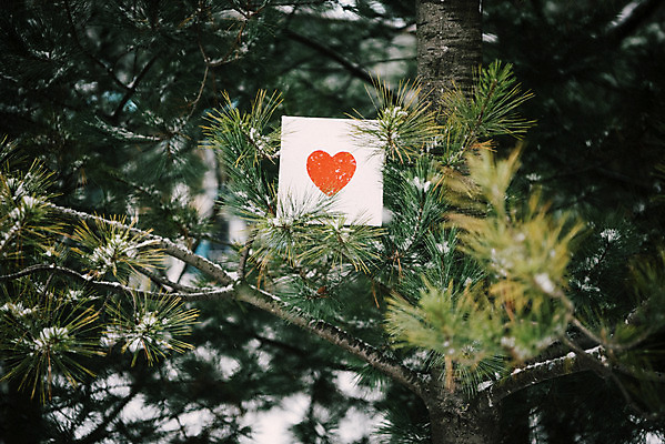 포토 JPG 주간 나무 액자 겨울 사랑 사람없음 야외 하트 눈 즐거움 오브젝트 겨울풍경 국내포토 자연요소 모양 식물 계절 감정 날씨 풍경 파일형식