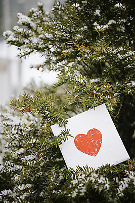 포토 JPG 주간 나무 액자 겨울 사랑 사람없음 야외 하트 눈 즐거움 오브젝트 겨울풍경 국내포토 자연요소 모양 식물 계절 감정 날씨 풍경 파일형식