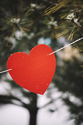 포토 JPG 주간 나무 겨울 사랑 사람없음 야외 아웃포커스 하트 눈 즐거움 오브젝트 겨울풍경 국내포토 자연요소 모양 식물 계절 감정 날씨 촬영기법 풍경 파일형식