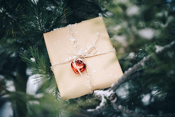 포토 JPG 주간 나무 겨울 사랑 사람없음 야외 아웃포커스 선물상자 하트 눈 즐거움 오브젝트 겨울풍경 국내포토 자연요소 모양 식물 계절 감정 날씨 촬영기법 선물 풍경 상자 파일형식