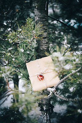 포토 JPG 주간 나무 겨울 사랑 사람없음 야외 아웃포커스 선물상자 하트 눈 즐거움 오브젝트 겨울풍경 국내포토 자연요소 모양 식물 계절 감정 날씨 촬영기법 선물 풍경 상자 파일형식