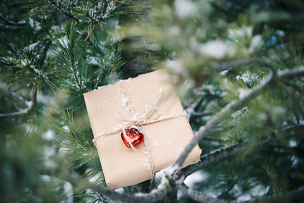 포토 JPG 주간 나무 겨울 사랑 사람없음 야외 아웃포커스 선물상자 하트 눈 즐거움 오브젝트 겨울풍경 국내포토 자연요소 모양 식물 계절 감정 날씨 촬영기법 선물 풍경 상자 파일형식