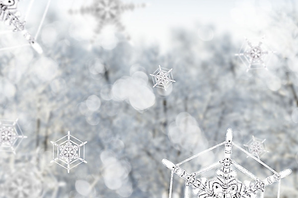 주간 PSD 편집이미지 백그라운드 겨울 눈꽃 풍경 사람없음 야외 그래픽 3D 눈 눈송이 디지털합성 보케 계절백그라운드 눈꽃무늬 편집소스 겨울풍경 이미지편집 편집3D 자연요소 계절 무늬 날씨 눈_날씨 파일형식