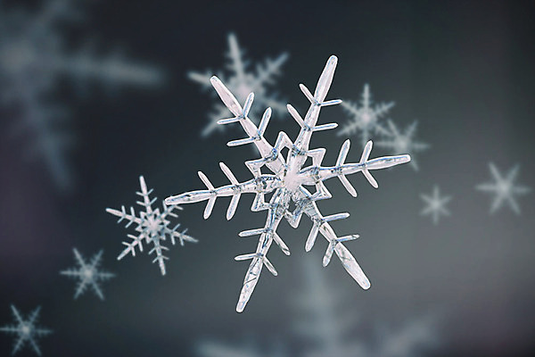 주간 PSD 편집이미지 백그라운드 겨울 눈꽃 풍경 사람없음 야외 아웃포커스 그래픽 3D 눈 눈송이 디지털합성 계절백그라운드 눈꽃무늬 편집소스 겨울풍경 이미지편집 편집3D 자연요소 계절 무늬 날씨 눈_날씨 촬영기법 파일형식