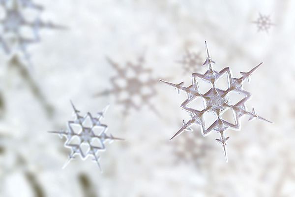 주간 PSD 편집이미지 백그라운드 겨울 눈꽃 풍경 사람없음 야외 아웃포커스 그래픽 3D 눈 눈송이 디지털합성 계절백그라운드 눈꽃무늬 편집소스 겨울풍경 이미지편집 편집3D 자연요소 계절 무늬 날씨 눈_날씨 촬영기법 파일형식