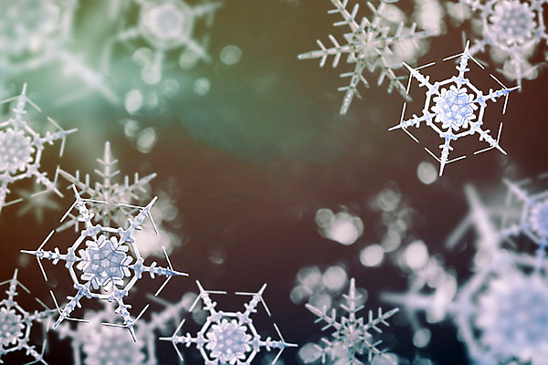 주간 PSD 편집이미지 백그라운드 겨울 눈꽃 풍경 사람없음 야외 아웃포커스 그래픽 3D 눈 눈송이 디지털합성 계절백그라운드 눈꽃무늬 편집소스 겨울풍경 이미지편집 편집3D 자연요소 계절 무늬 날씨 눈_날씨 촬영기법 파일형식