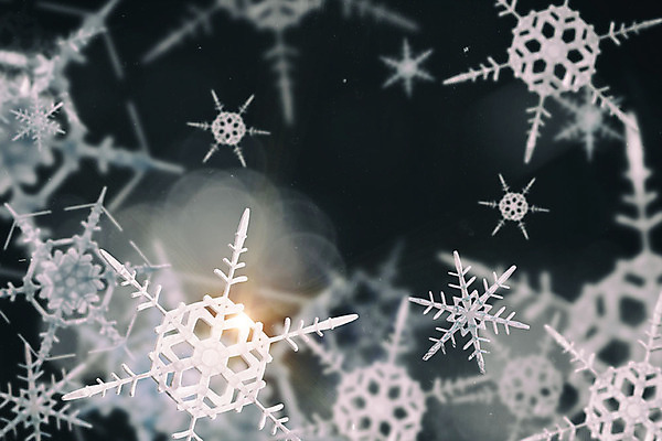 주간 PSD 편집이미지 백그라운드 겨울 눈꽃 풍경 사람없음 야외 그래픽 3D 눈 눈송이 디지털합성 계절백그라운드 눈꽃무늬 편집소스 겨울풍경 이미지편집 편집3D 자연요소 계절 무늬 날씨 눈_날씨 파일형식