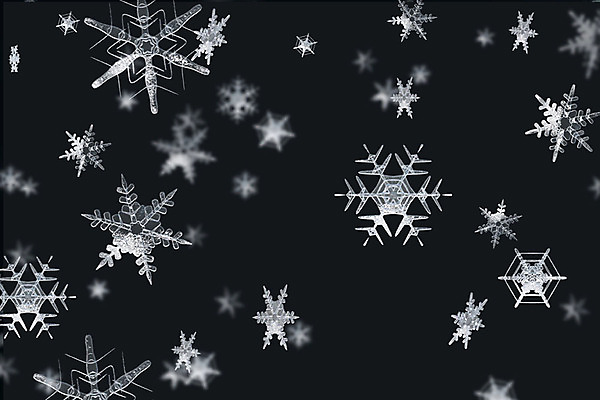 주간 PSD 편집이미지 백그라운드 겨울 눈꽃 풍경 사람없음 야외 그래픽 3D 눈 눈송이 디지털합성 계절백그라운드 눈꽃무늬 편집소스 겨울풍경 이미지편집 편집3D 자연요소 계절 무늬 날씨 눈_날씨 파일형식