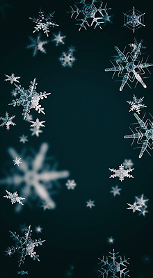 주간 PSD 편집이미지 백그라운드 겨울 눈꽃 풍경 사람없음 야외 아웃포커스 그래픽 3D 눈 눈송이 디지털합성 계절백그라운드 눈꽃무늬 편집소스 겨울풍경 이미지편집 편집3D 자연요소 계절 무늬 날씨 눈_날씨 촬영기법 파일형식