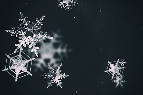 주간 PSD 편집이미지 백그라운드 겨울 눈꽃 풍경 사람없음 야외 그래픽 3D 눈 눈송이 디지털합성 계절백그라운드 눈꽃무늬 편집소스 겨울풍경 이미지편집 편집3D 자연요소 계절 무늬 날씨 눈_날씨 파일형식