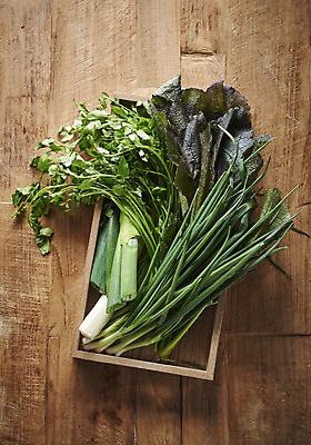 포토 JPG 스튜디오촬영 한식 김치 실내 누끼 사람없음 하이앵글 전통음식 오브젝트 부추 김장 파 미나리 김장재료 플랫레이 갈색배경 나무배경 국내포토 전통 음식 뷰포인트 백그라운드 채소 식재료 내부 갈색 플랫 파일형식