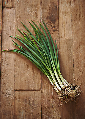 포토 JPG 스튜디오촬영 한식 김치 실내 누끼 사람없음 하이앵글 전통음식 오브젝트 김장 파 김장재료 플랫레이 갈색배경 나무배경 국내포토 전통 음식 뷰포인트 백그라운드 채소 식재료 내부 갈색 플랫 파일형식