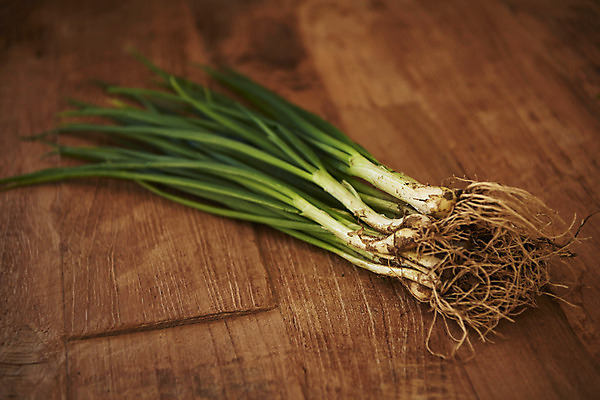 포토 전통 한식 음식 백그라운드 채소 식재료 실내 내부 갈색 김장 파일형식 JPG 전통음식 김치 사람없음 오브젝트 스튜디오촬영 갈색배경 누끼 김장재료 파 나무배경 국내포토