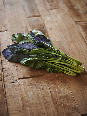 포토 전통 한식 음식 백그라운드 채소 식재료 실내 내부 갈색 김장 파일형식 JPG 전통음식 김치 사람없음 오브젝트 스튜디오촬영 갈색배경 누끼 김장재료 시금치 나무배경 국내포토