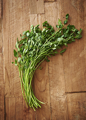 포토 JPG 스튜디오촬영 한식 김치 실내 누끼 사람없음 하이앵글 전통음식 오브젝트 김장 미나리 김장재료 플랫레이 갈색배경 나무배경 국내포토 전통 음식 뷰포인트 백그라운드 채소 식재료 내부 갈색 플랫 파일형식