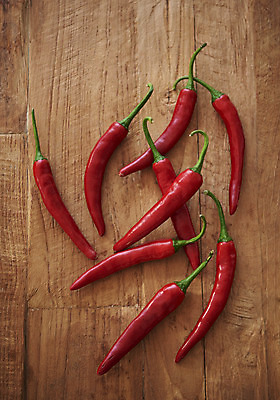 포토 JPG 스튜디오촬영 한식 김치 실내 누끼 사람없음 하이앵글 전통음식 오브젝트 홍고추 김장 김장재료 플랫레이 갈색배경 나무배경 국내포토 전통 음식 뷰포인트 백그라운드 식재료 고추 내부 갈색 플랫 파일형식