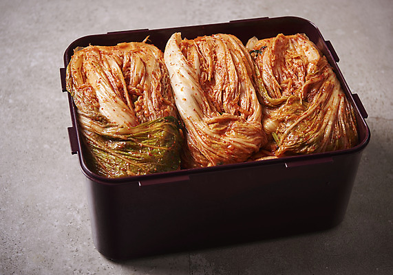 포토 JPG 스튜디오촬영 한식 회색배경 김치 실내 누끼 사람없음 전통음식 오브젝트 발효 김장 발효음식 포기김치 국내포토 전통 음식 백그라운드 내부 회색 파일형식