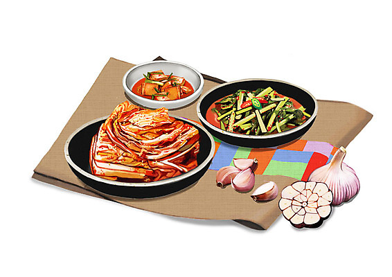 PSD 그릇 한식 일러스트 김치 한국 마늘 사람없음 보자기 대표 깍두기 천 발효 배추김치 발효음식 열무김치 국내일러스트 식기 아시아 음식 채소 직물 파일형식 천_직물