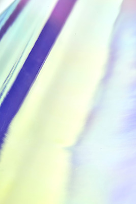 포토 JPG 스튜디오촬영 백그라운드 실내 근접촬영 사람없음 빛 반짝임 컬러풀 반사 신비 오브젝트 질감 그라데이션 기하학 비닐 구김 스펙트럼 홀로그램 몽환 국내포토 뷰포인트 컬러 컨셉 무늬 모션 재질 내부 파일형식