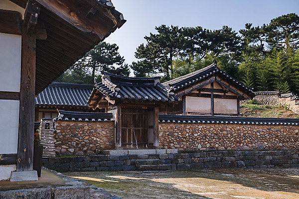 포토 JPG 주간 나무 한국전통 여행 유적지 한옥 기와 풍경 사람없음 야외 관광지 담장 세계문화유산 문화재 가을 역사 한국사 논산 돈암서원 전사청 국내포토 자연요소 식물 전통 계절 고건축 한국 충청남도 서원 파일형식
