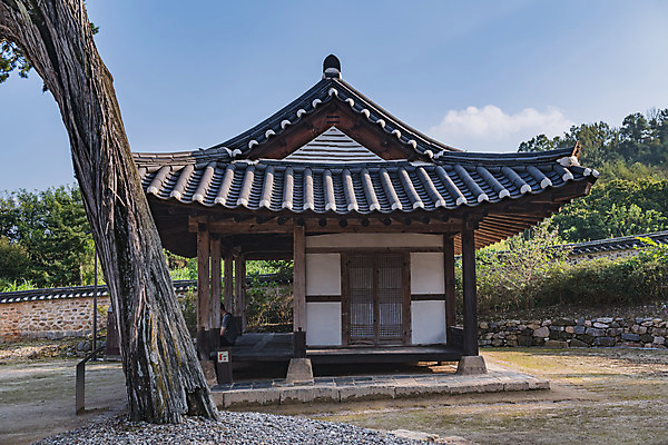 포토 JPG 주간 나무 한국전통 여행 유적지 한옥 풍경 사람없음 야외 관광지 세계문화유산 문화재 가을 소나무 역사 한국사 논산 돈암서원 정회당 국내포토 자연요소 식물 전통 계절 고건축 한국 충청남도 서원 파일형식